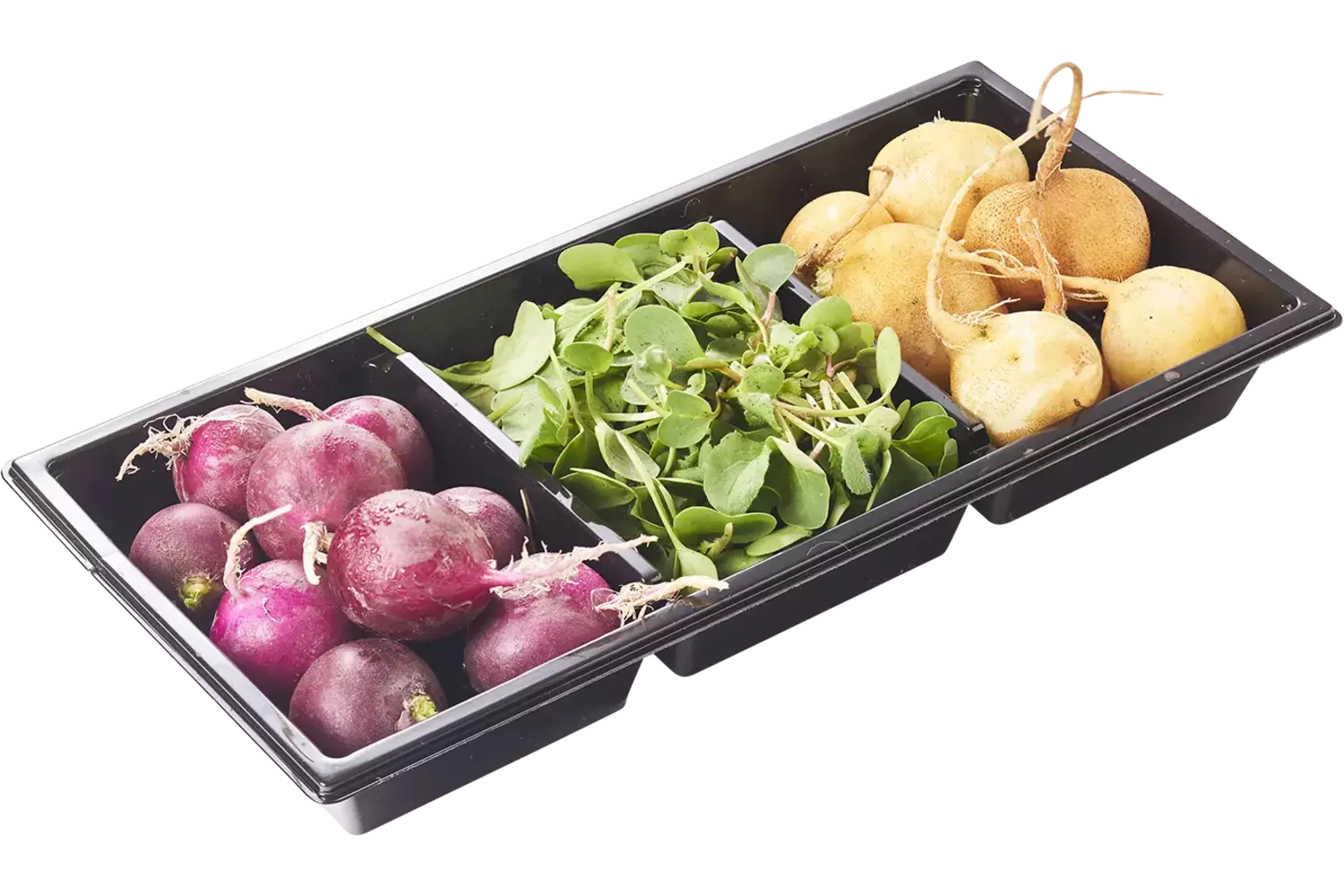 Trio de radis en plat pièce